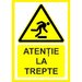 Placuta atentie la trepte